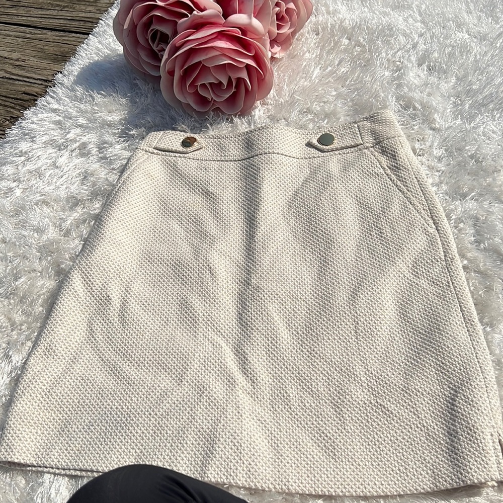Ann Taylor skirt size 0. Brand new.